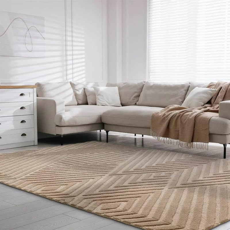 Hand Tufted Modern Design Exported Collection High Low Pattern Wool Carpet for Living Room, Bedroom & Hall (Beige G, 9 x 12 Feet) handmade carpet by Zorra Carpet
