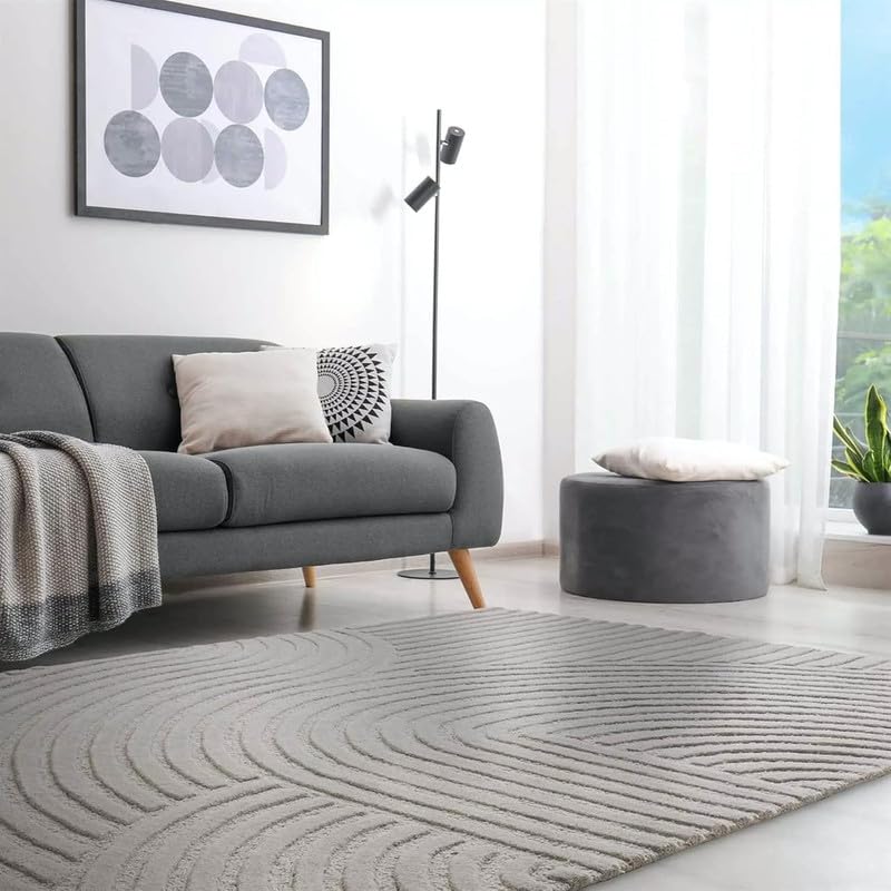 Hand Tufted Modern Design Exported Collection High Low Pattern Wool Carpet for Living Room, Bedroom & Hall (Grey, 4 x 6 Feet)
